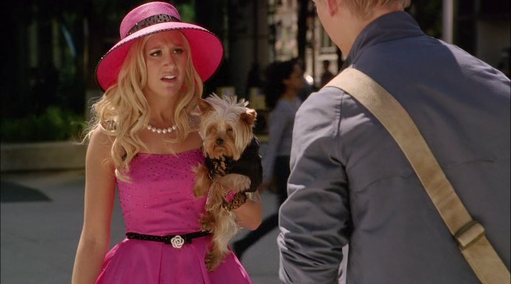 Sharpay's Fabulous Adventure (2011/RUS/HDRip)